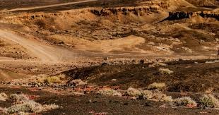 2025 赛季：MLB 宣布将针对球员在客场期间的体能恢复制定强制性的官方标准