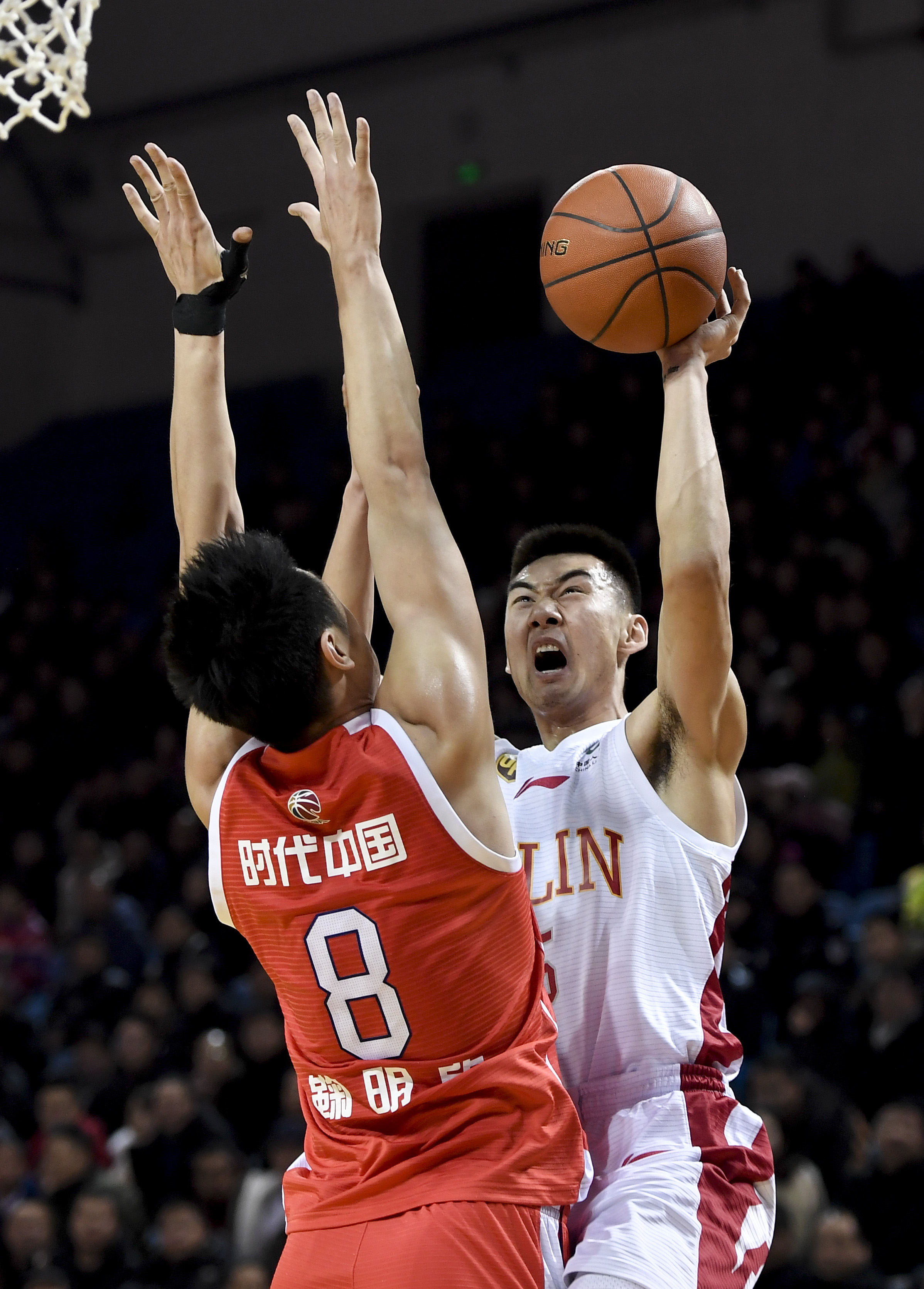 在全球游泳 在全球游泳