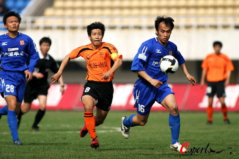 浓度及总量 浓度及总量